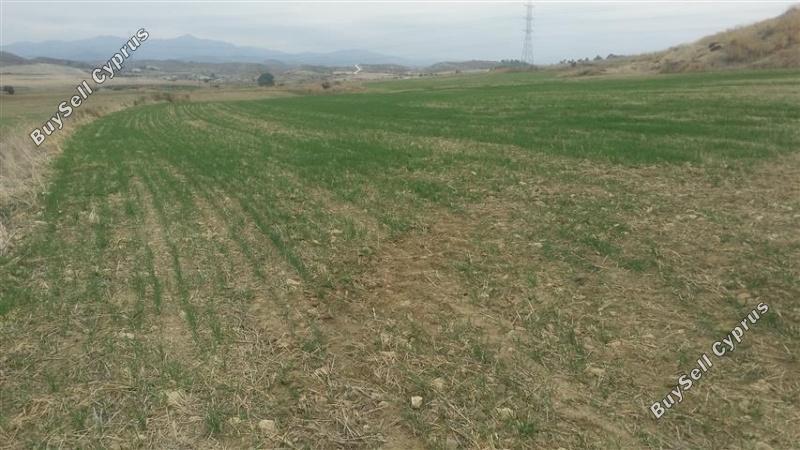 16723 SQM Land for sale in Agia Varvara Nicosias, Nicosia 16159237