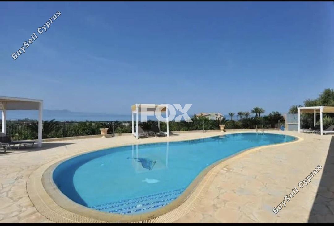 4 bedroom detached house for rent argaka paphos 8931020 image 17665375