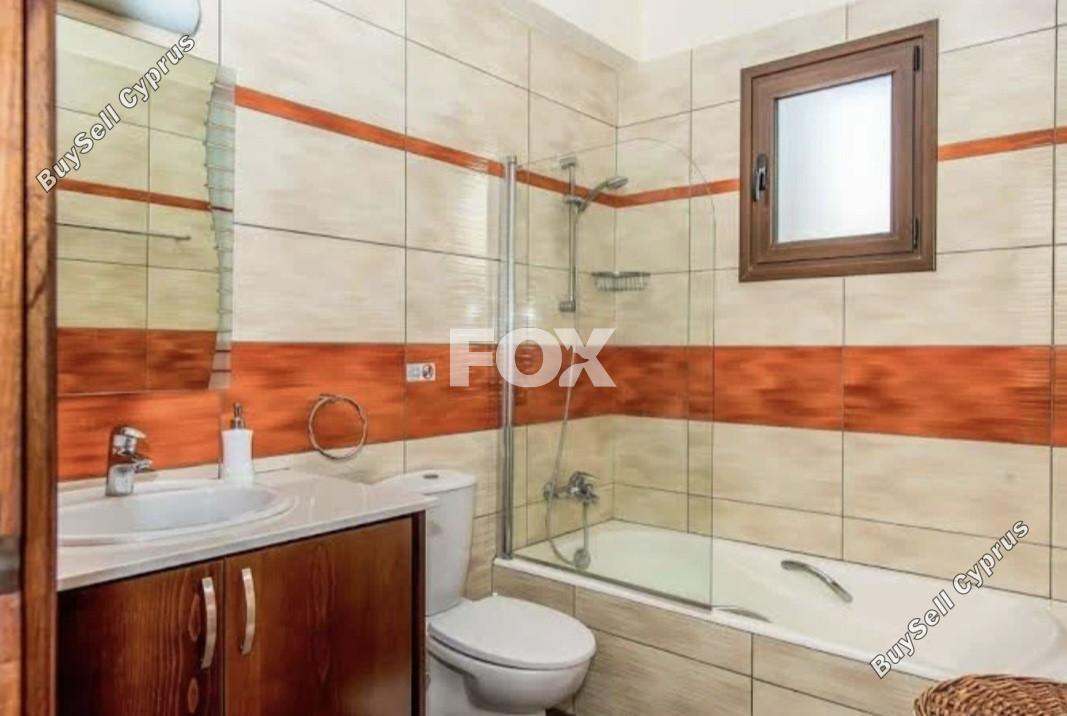 4 bedroom detached house for rent argaka paphos 8931020 image 17665378