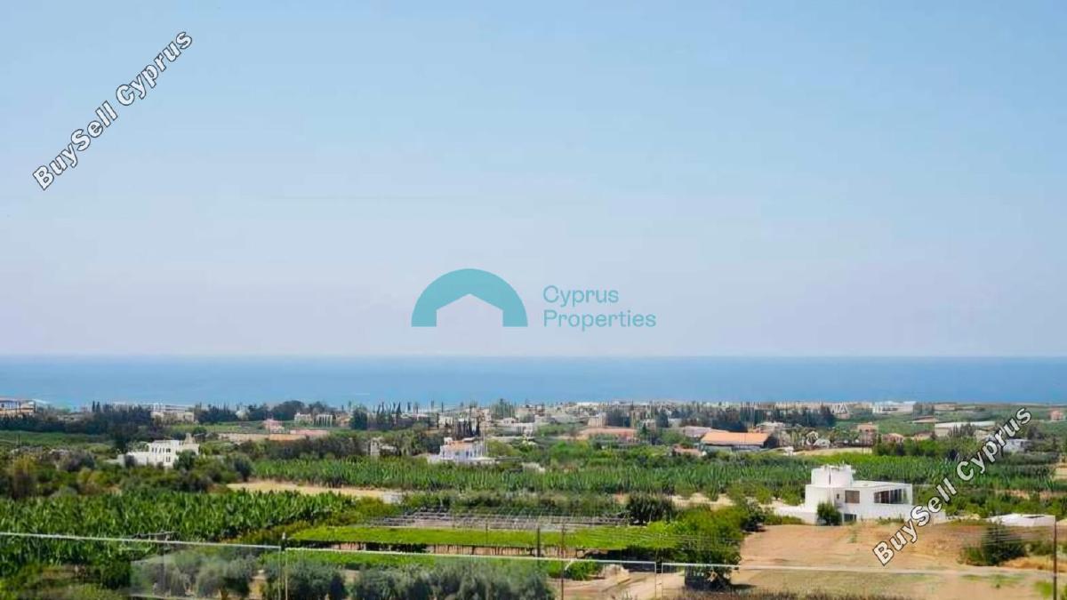 4 bedroom detached house for rent coral bay paphos 8521020 image 16266814