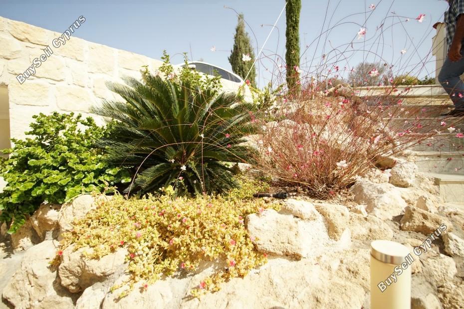 6 bedroom detached house for sale tsada paphos 7740020 image 13697636