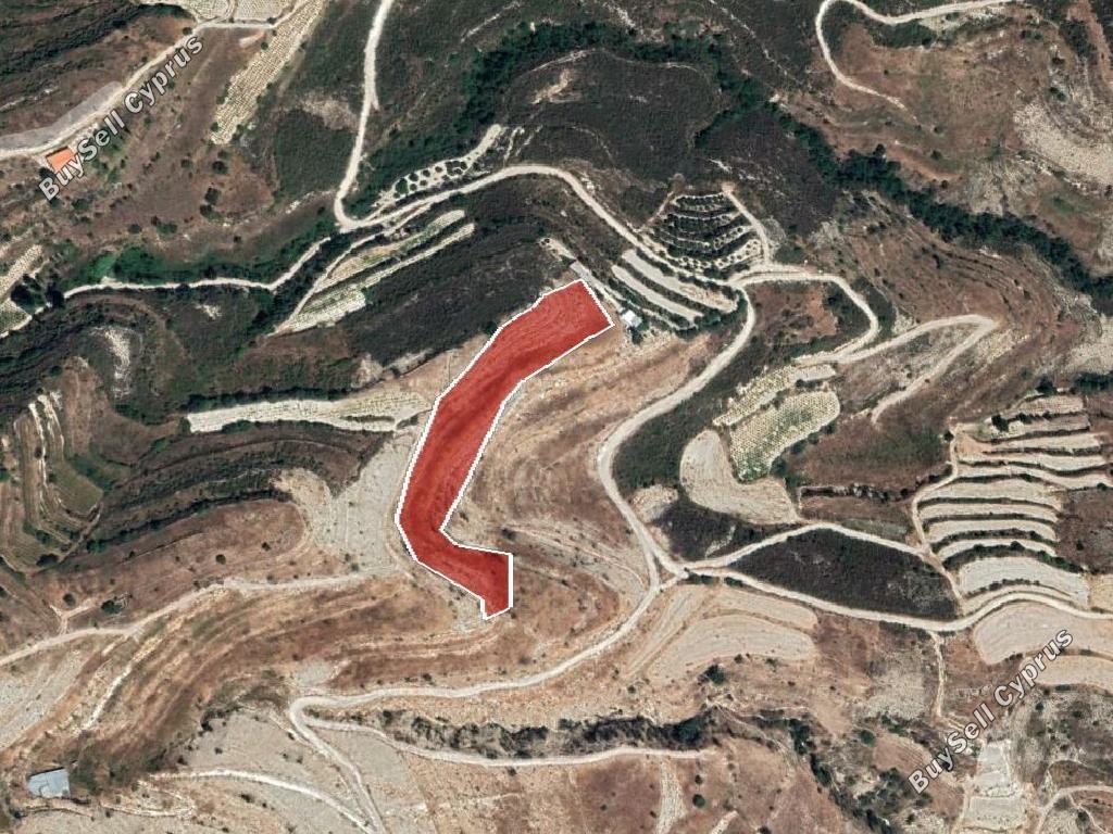 land for sale pachna limassol 8630020 image 16656473