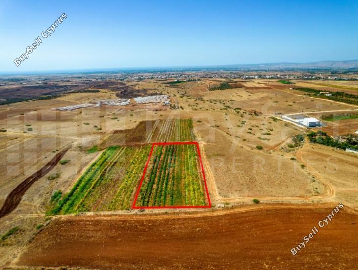 plot for sale peristerona lefkosias nicosia 8123020 image 15884948