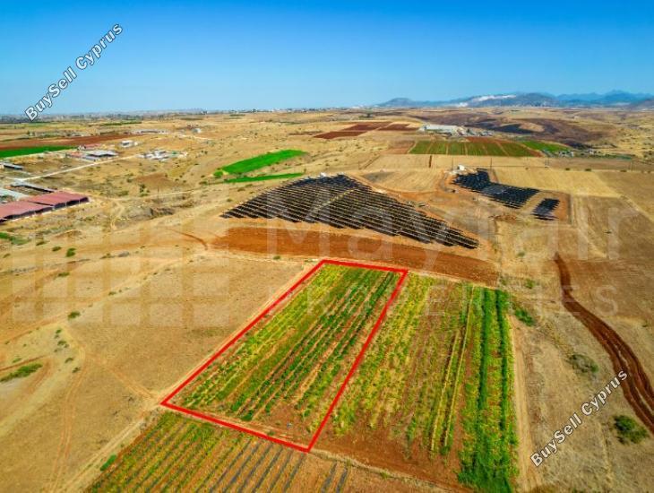 plot for sale peristerona lefkosias nicosia 8123020 image 15884950