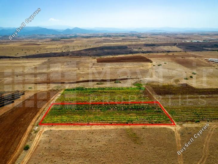 plot for sale peristerona lefkosias nicosia 8123020 image 15884952