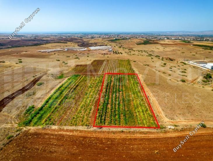 plot for sale peristerona lefkosias nicosia 8123020 image 15884953