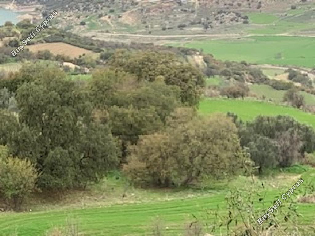 4348 SQM Land for sale in Simou, Paphos 15599620