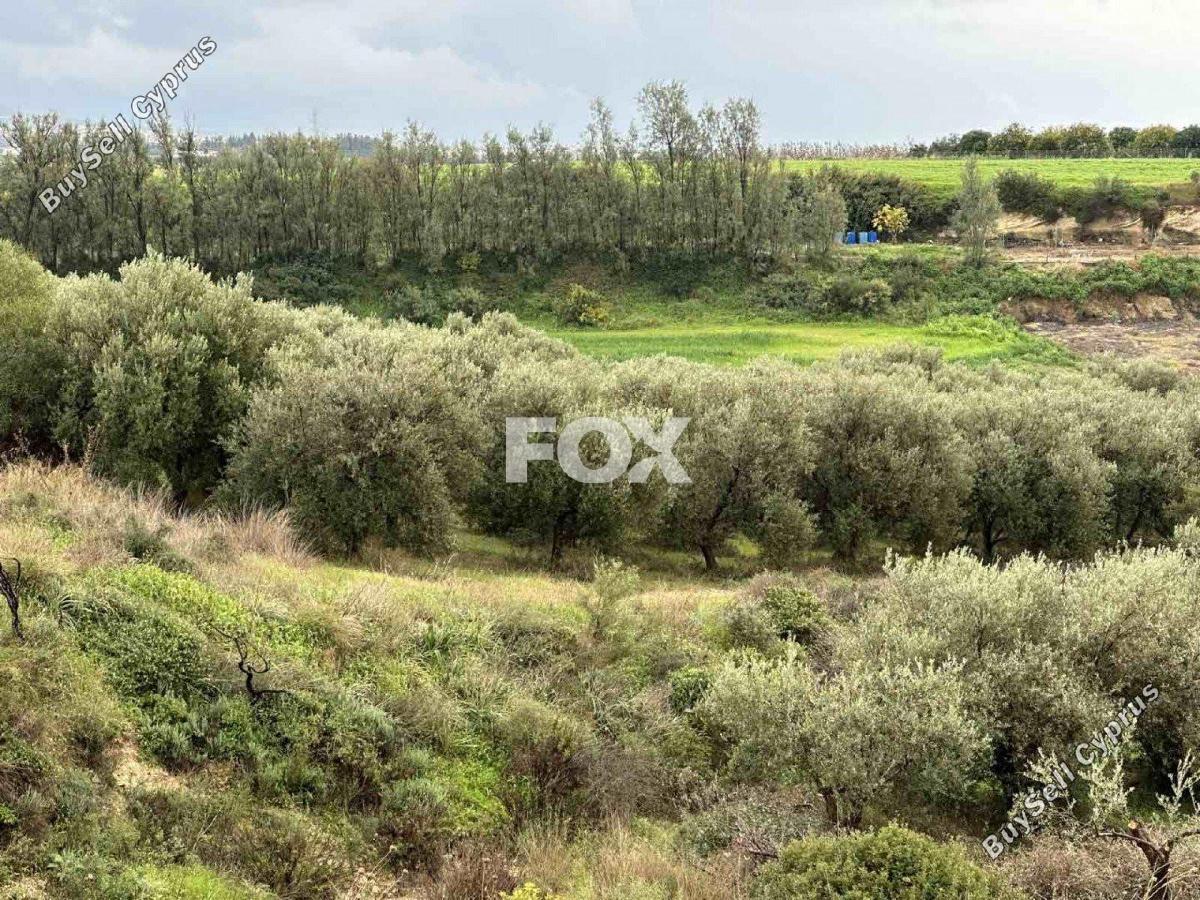 land for sale nikokleia paphos 1270120 image 5547621