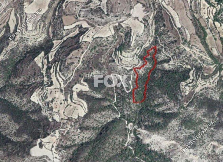 29767 SQM Land for sale in Amargeti, Paphos 5519676