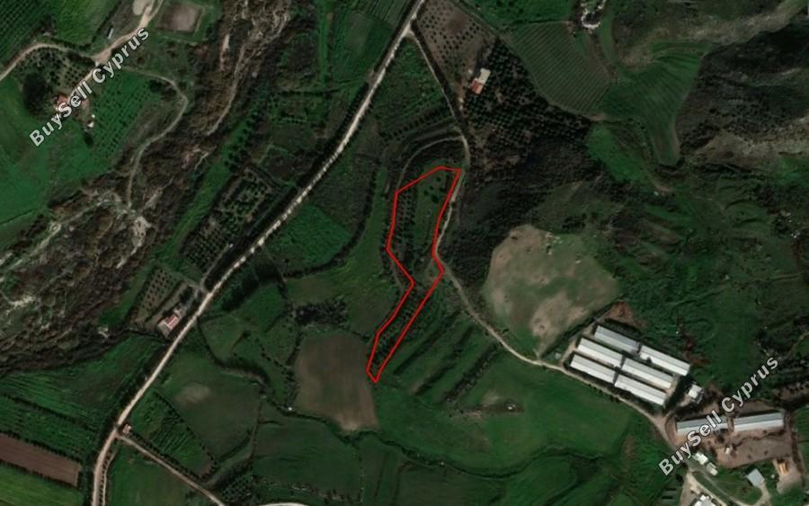 7191 SQM Land for sale in Agia Varvara, Paphos 15279258