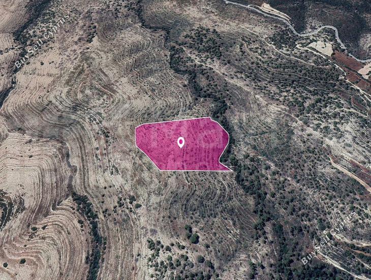 land for sale agios therapon limassol 7872320 image 14892264
