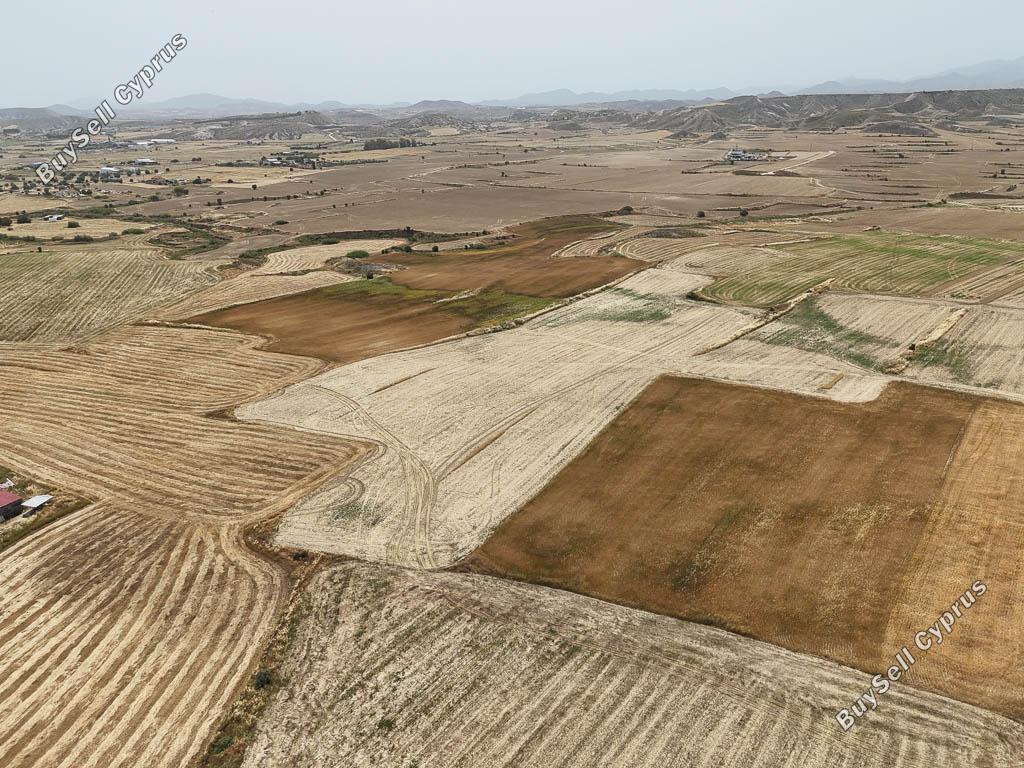land for sale tseri nicosia 1336320 image 15600458