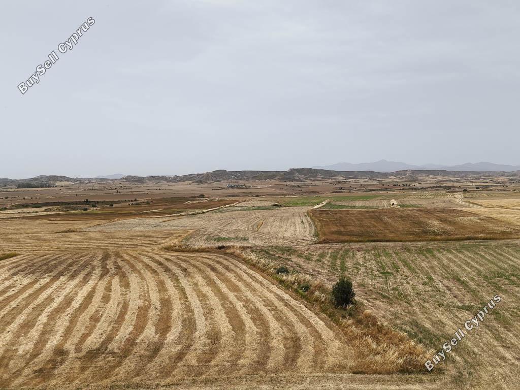 land for sale tseri nicosia 1336320 image 15600459