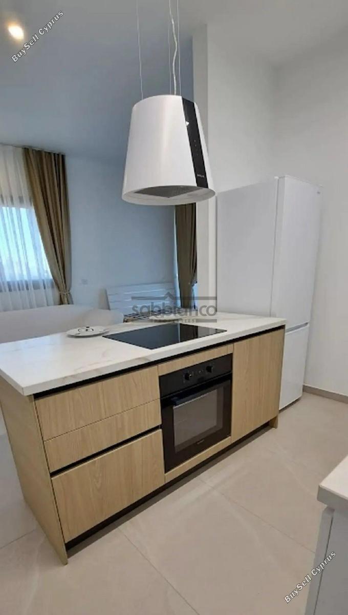 1 bedroom apartment for rent kato lakatamia nicosia 8748420 image 16463885