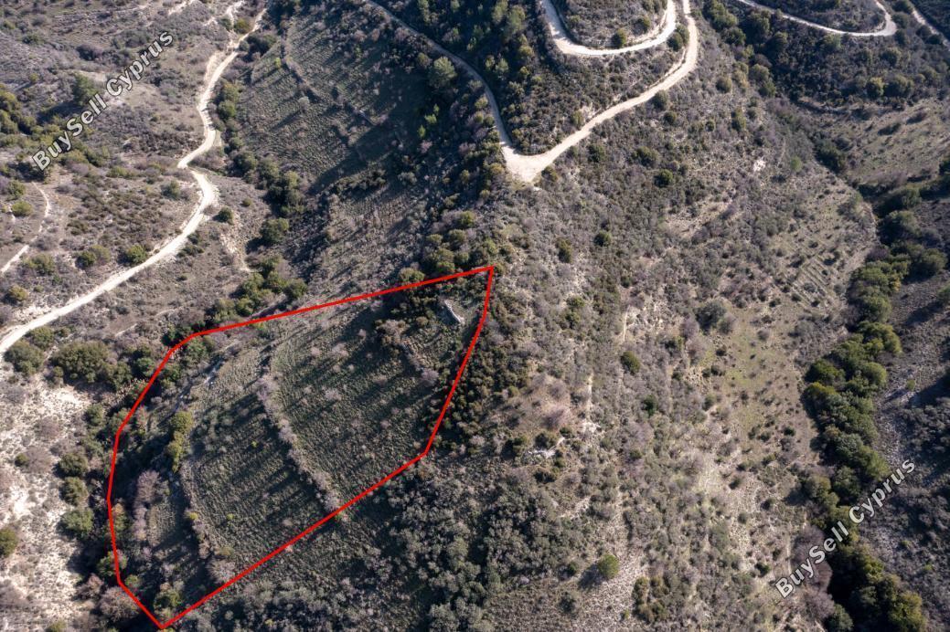 land for sale dora limassol 839420 image 5480834