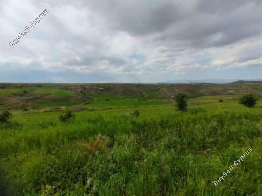 land for sale psimolofou nicosia 8630520 image 16530649