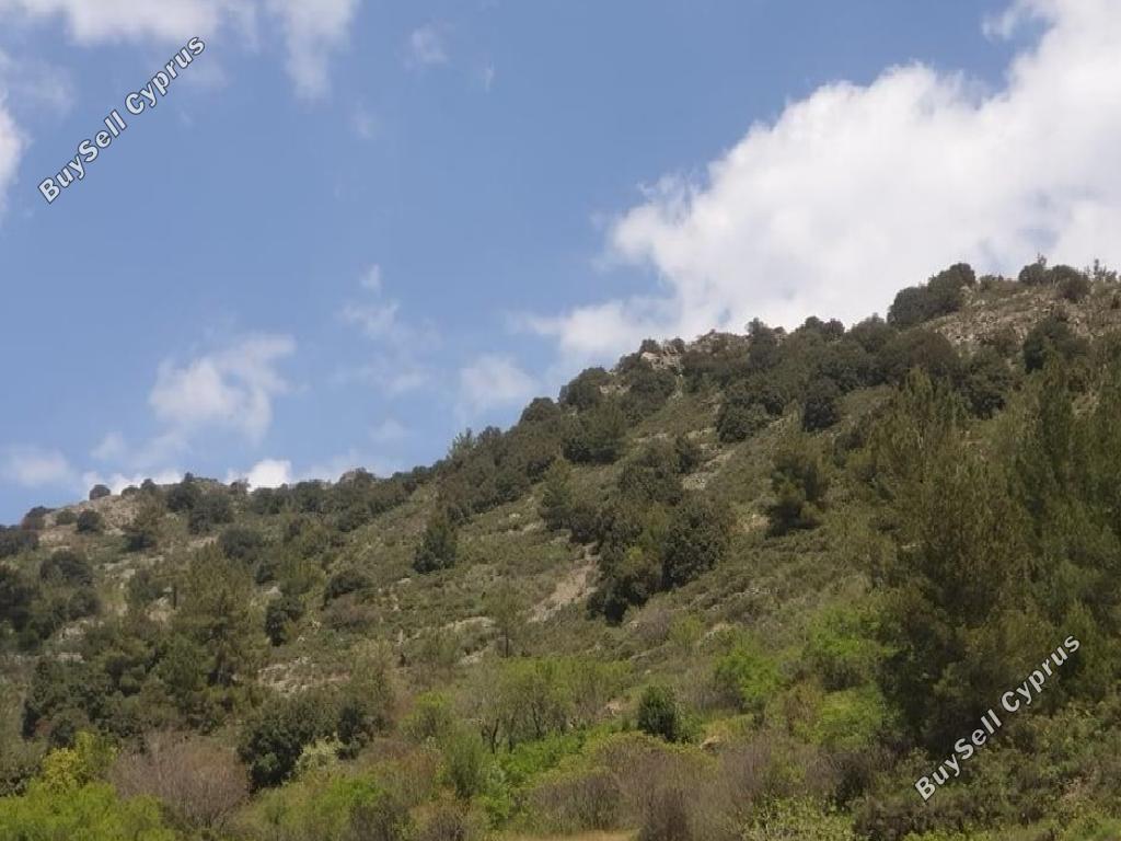 4516 SQM Land for sale in Palaichori Morfou, Nicosia 15277973