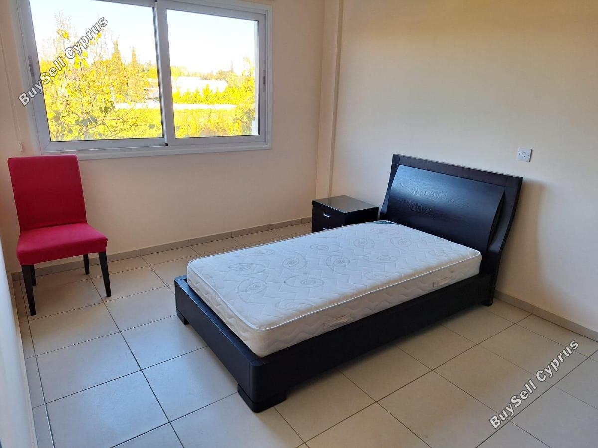 2 bedroom apartment for rent kiti larnaca 8960620 image 17794061