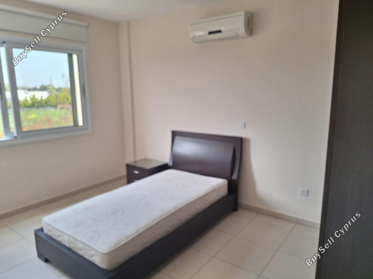 2 bedroom apartment for rent kiti larnaca 8960620 image 17794062