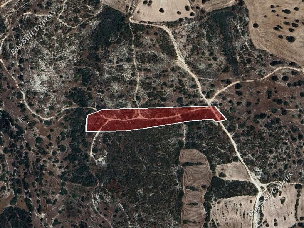 land for sale avdimou limassol 8936620 image 17643089