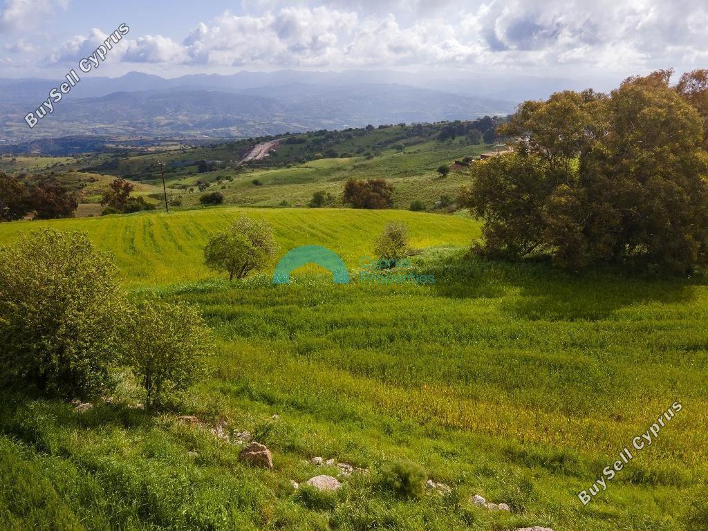 land for sale drousia paphos 1890620 image 16013549
