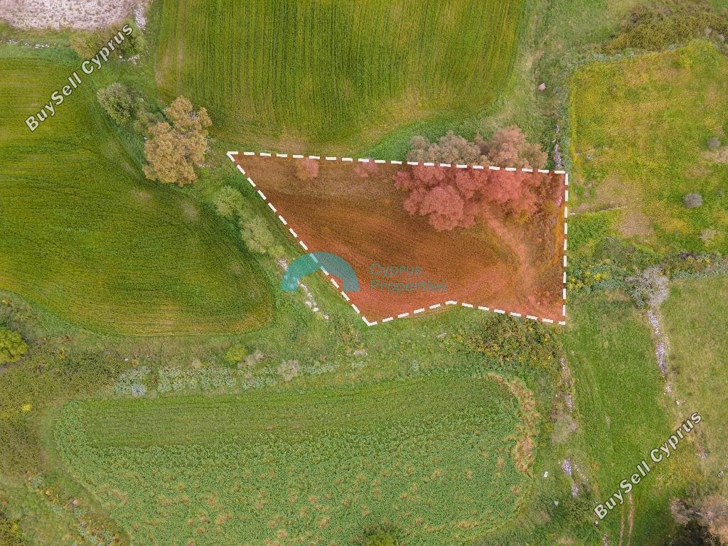 land for sale drousia paphos 1890620 image 16013551