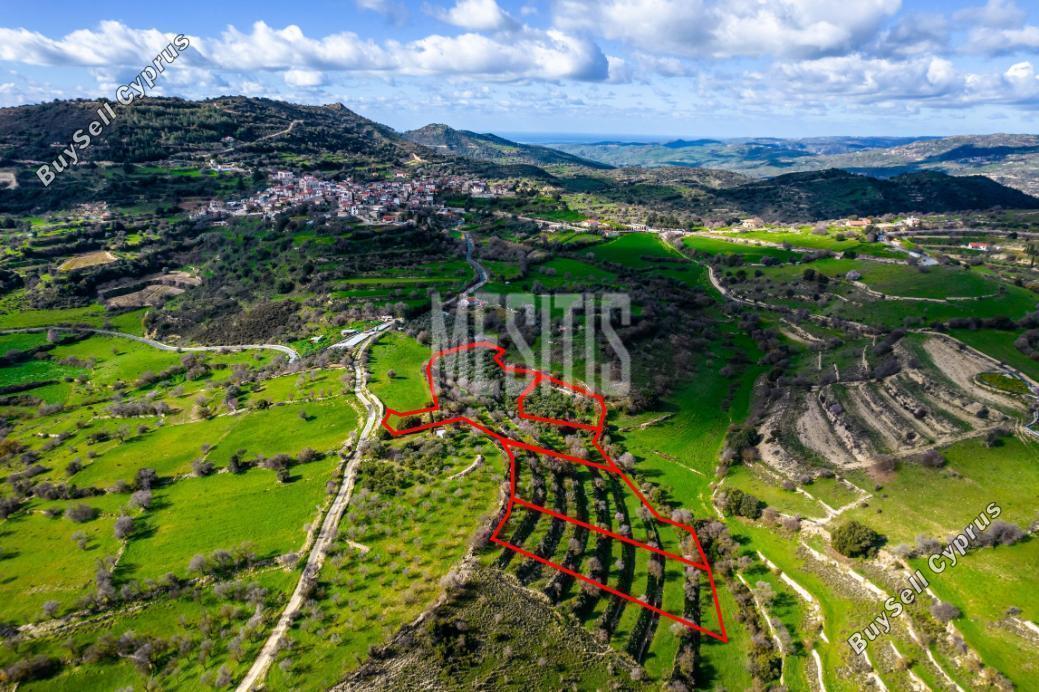 plot for sale dora limassol 1007620 image 10489783