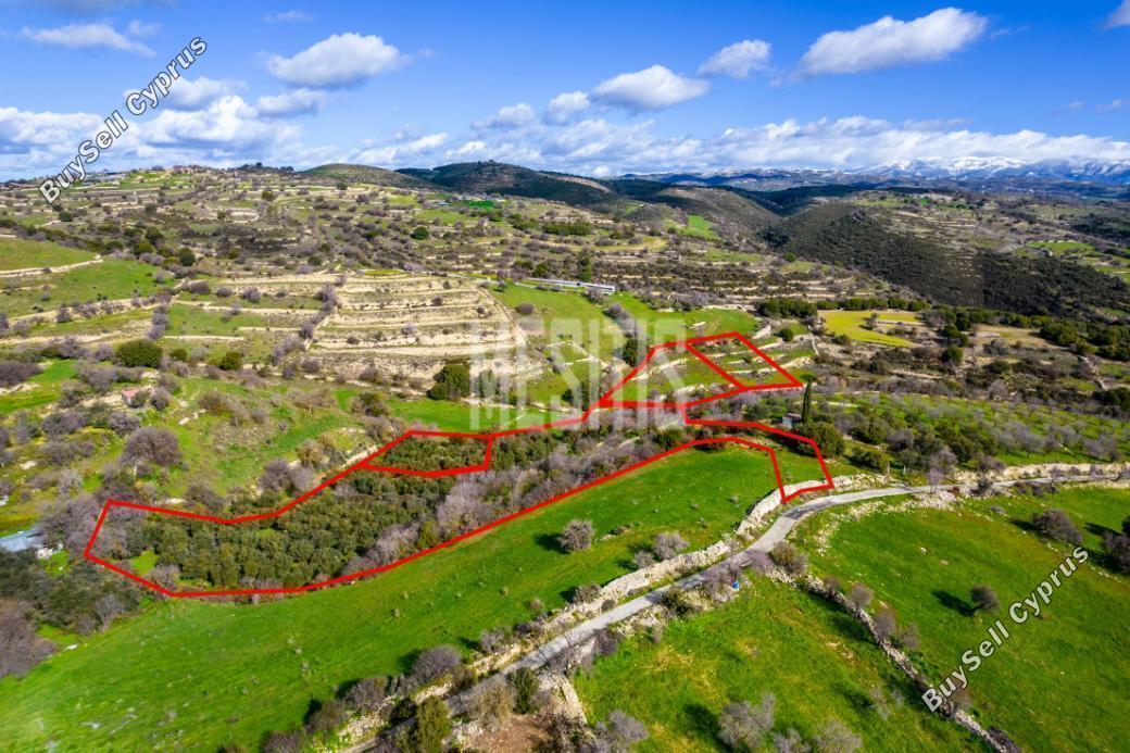 plot for sale dora limassol 1007620 image 10489784