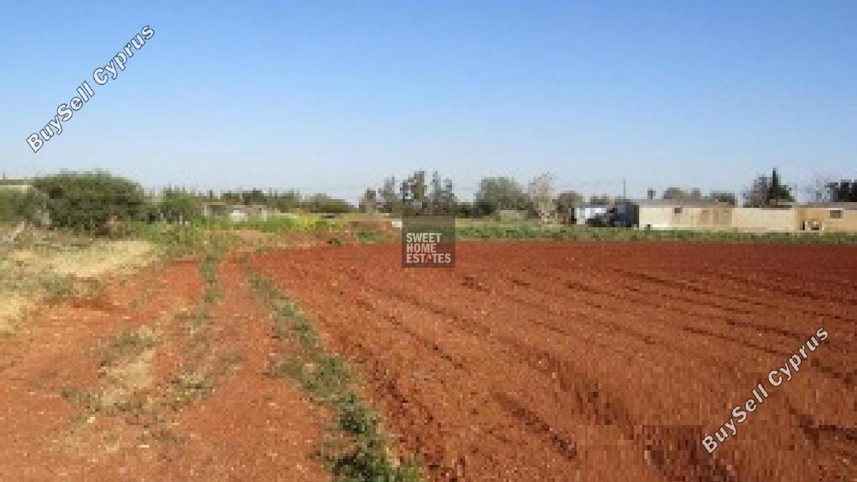 land for sale avgorou famagusta 8833720 image 17009774