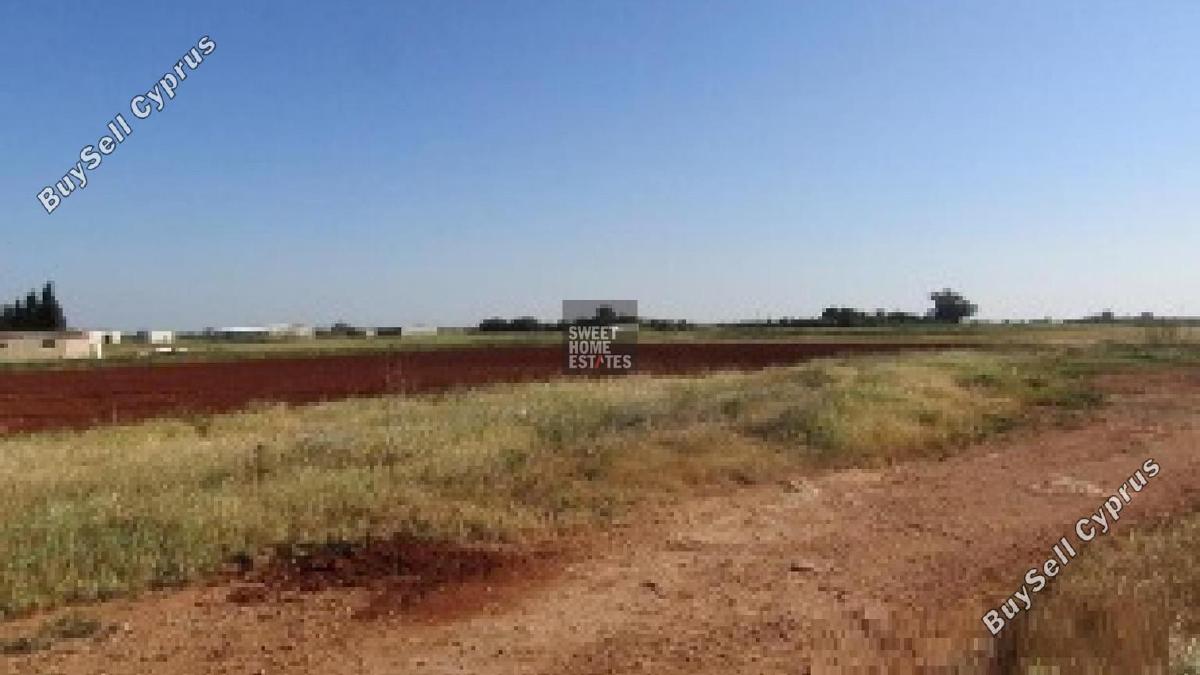 land for sale avgorou famagusta 8833720 image 17009776