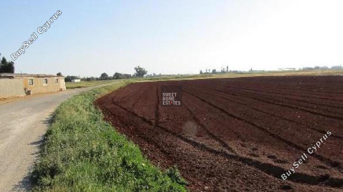 land for sale avgorou famagusta 8833720 image 17009777