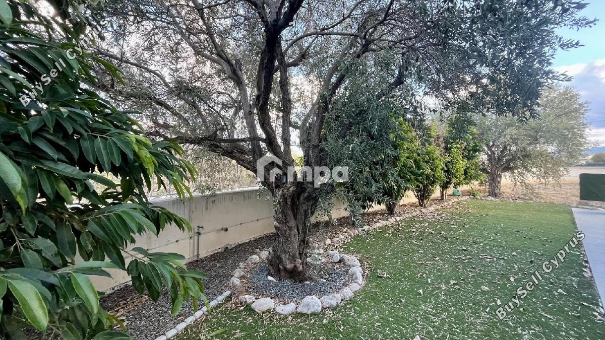 3 bedroom detached house for sale psimolofou nicosia 7788820 image 13115862
