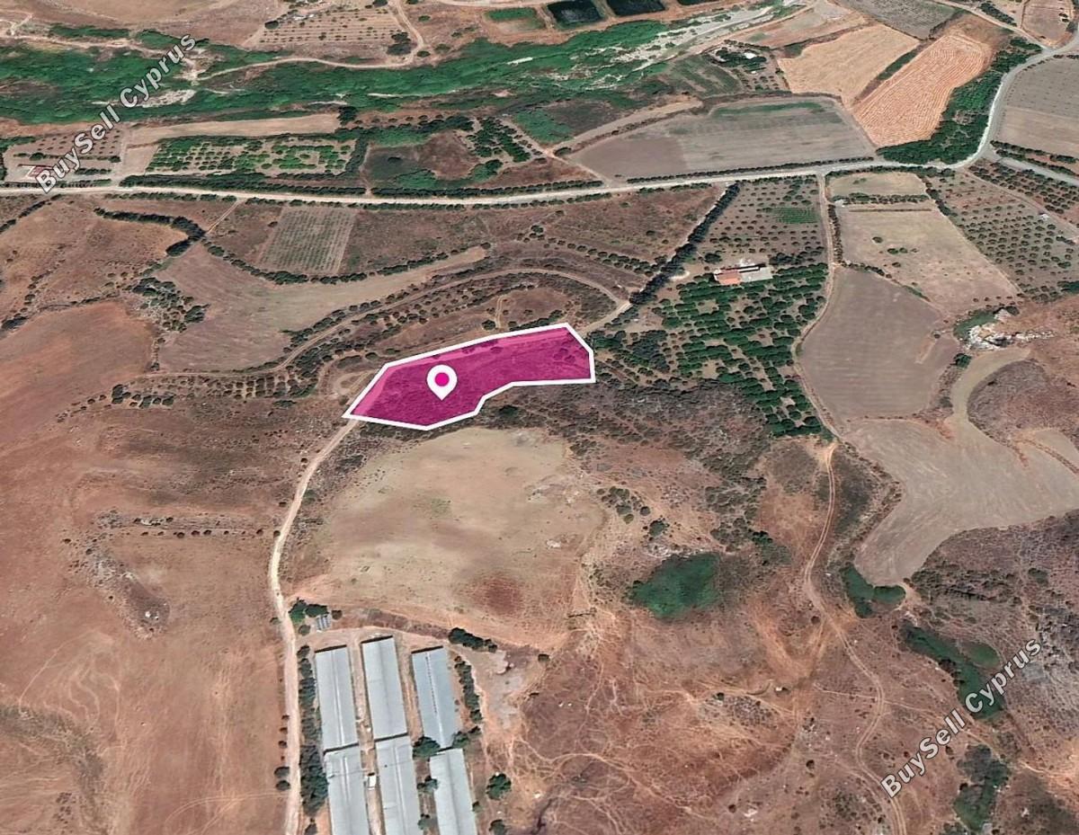 land for sale agia varvara paphos 8629820 image 15869985