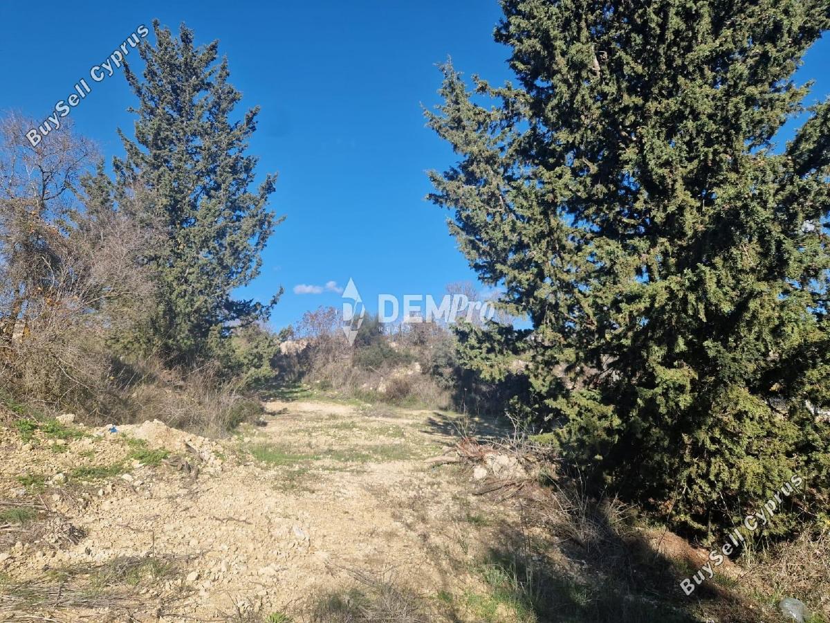 land for sale tsada paphos 8126820 image 15820674