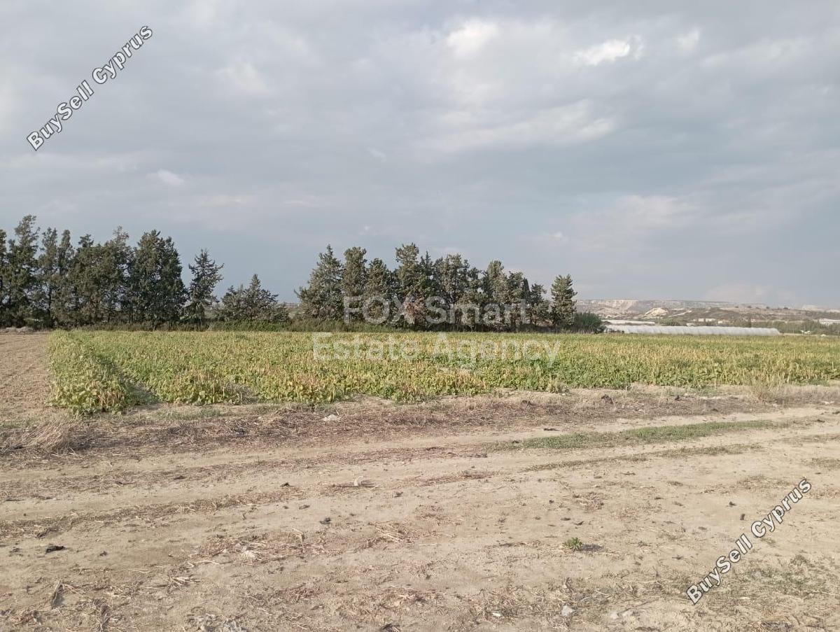 land for sale zygi larnaca 1201820 image 16817724