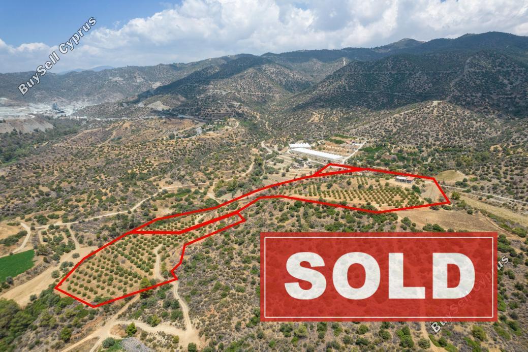 land sold parekklisia limassol 915820 image 797953