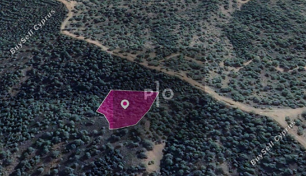 land for sale kampos nicosia 8274920 image 15156331