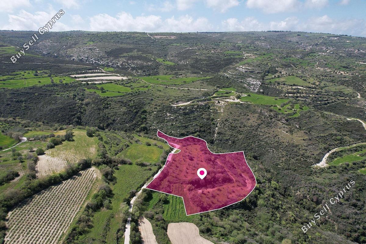 land for sale kritou tera paphos 1056920 image 13341015