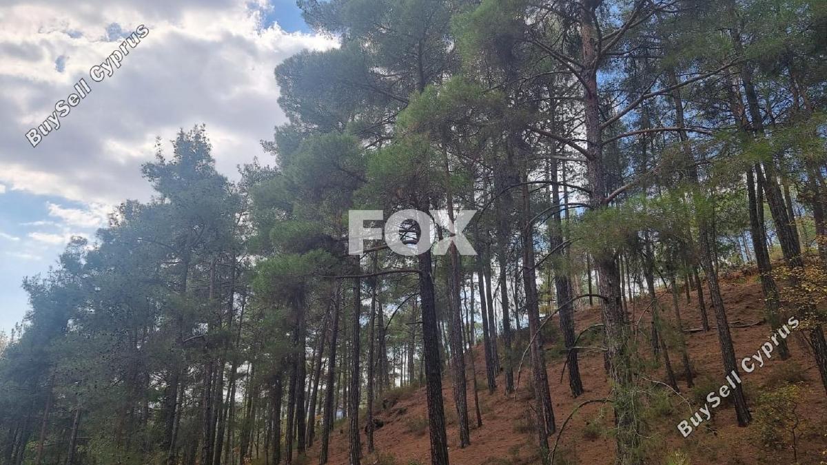 land for sale pano platres limassol 1593920 image 5646151