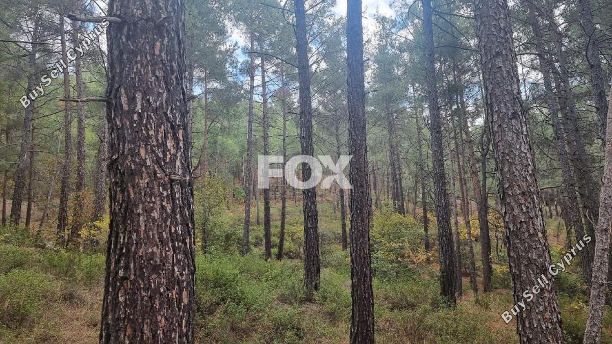 land for sale pano platres limassol 1593920 image 5646154