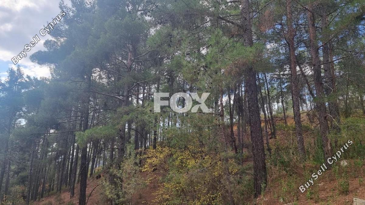 land for sale pano platres limassol 1593920 image 5646158