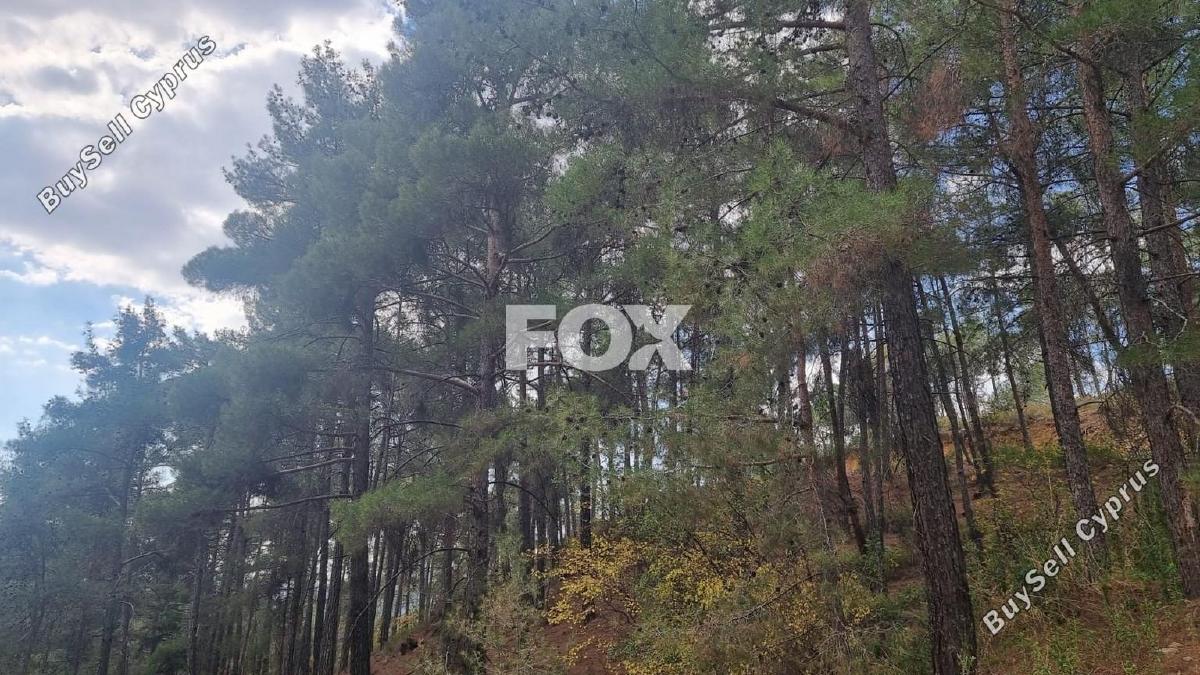 land for sale pano platres limassol 1593920 image 5646160