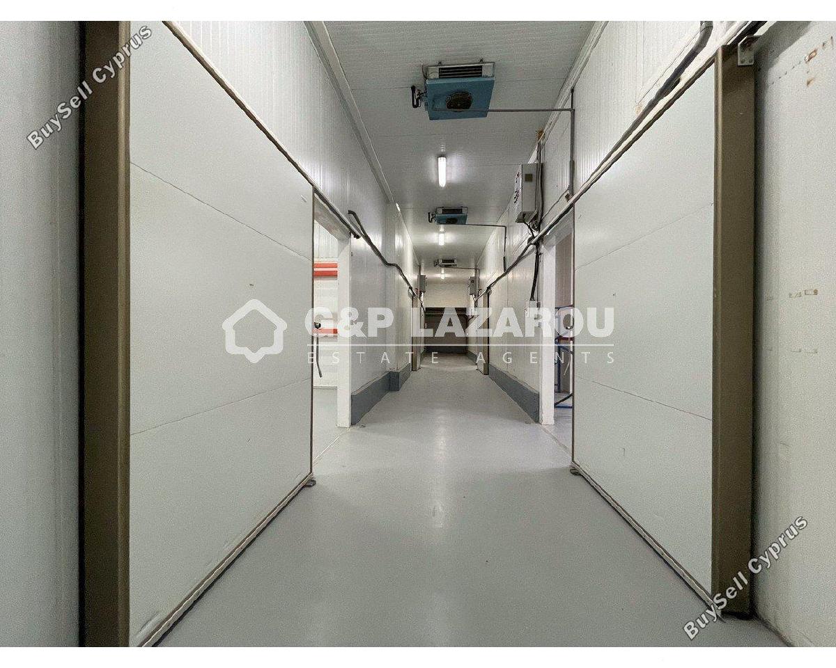 studio warehouse for sale dali nicosia 1580030 image 15636048
