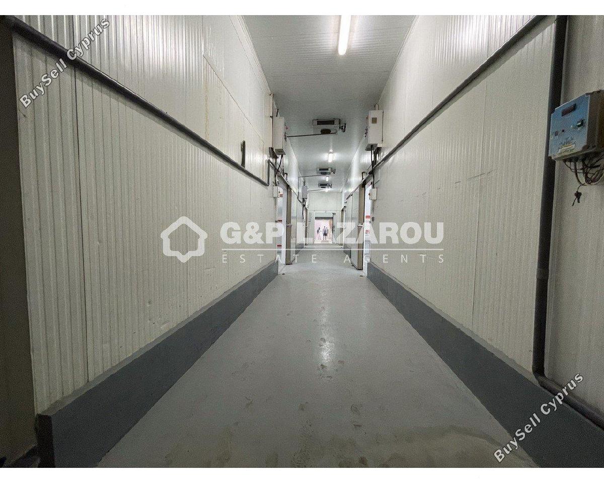 studio warehouse for sale dali nicosia 1580030 image 15636054