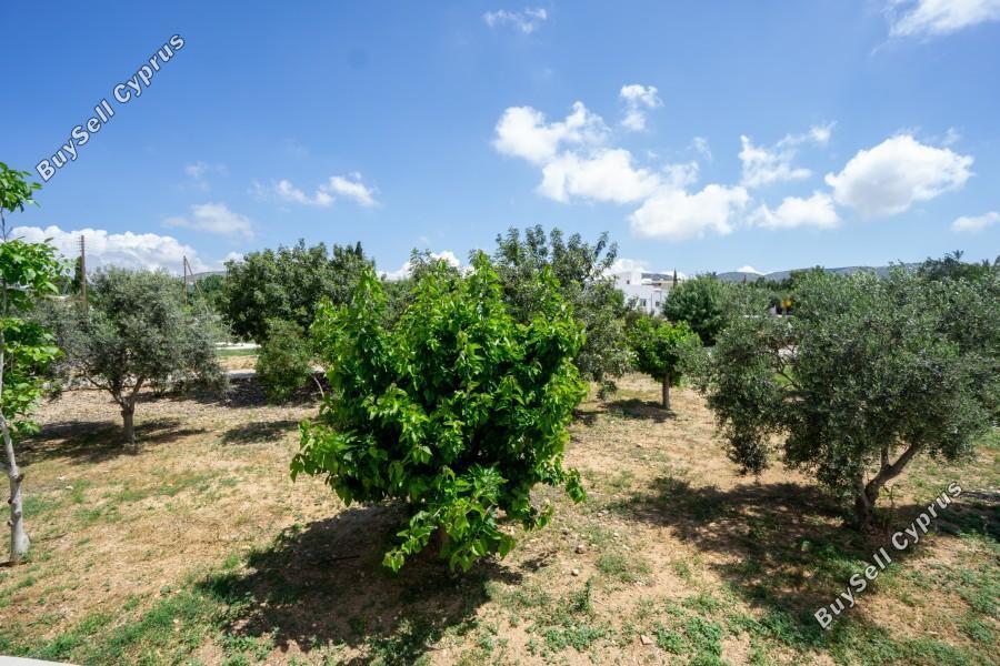 2 bedroom apartment for rent mesogi paphos 8765130 image 16557114