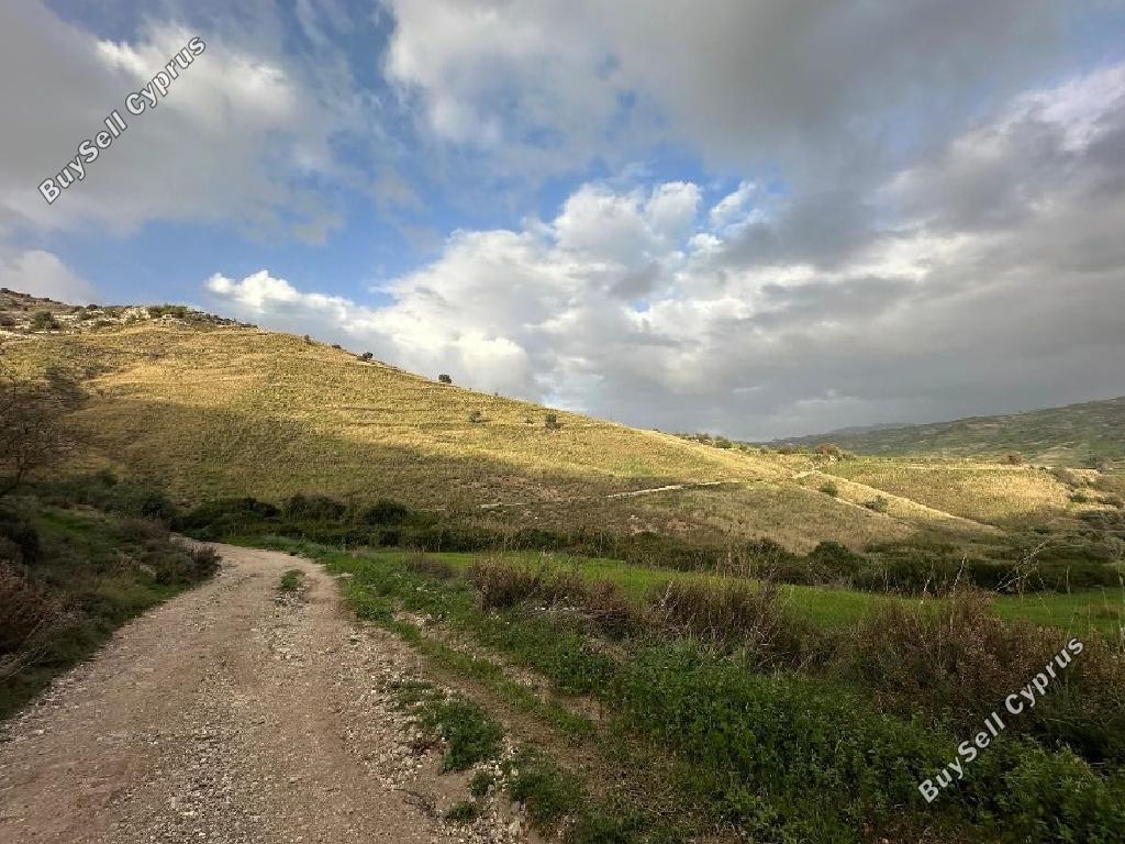 land for sale nata paphos 7533130 image 15596797