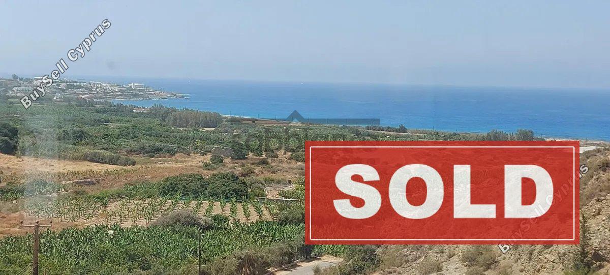 3 bedroom detached house sold coral bay paphos 8746230 image 16440446