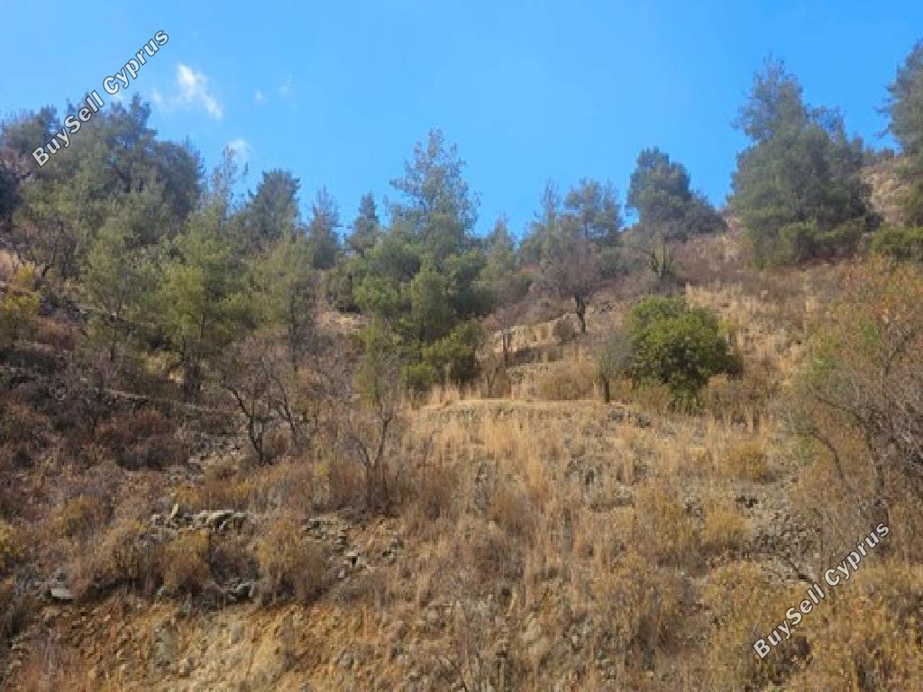 land for sale platanistasa nicosia 1785230 image 17420322