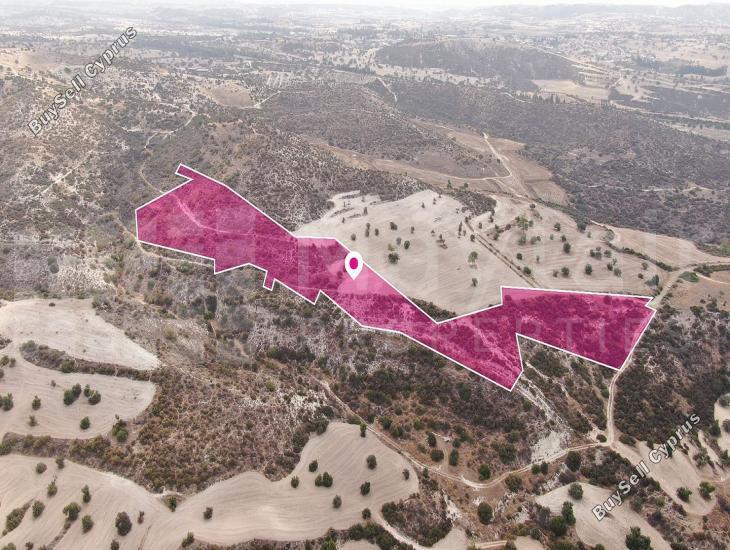 land for sale skarinou larnaca 7872230 image 15714420