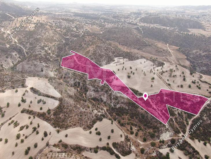 land for sale skarinou larnaca 7872230 image 15714421